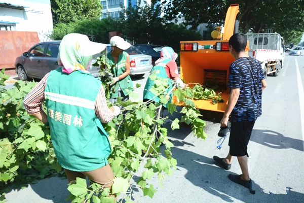 樹枝樹葉削片粉碎木屑機(jī) 城市市政綠化碎枝機(jī)