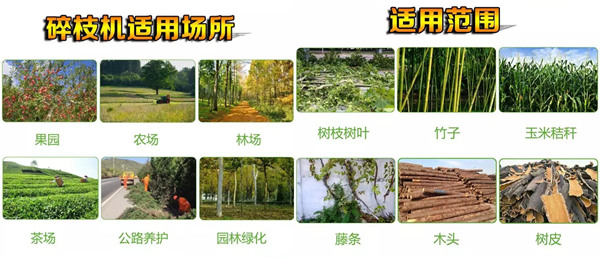 云南褚橙莊園枝條樹枝粉碎機(jī)
